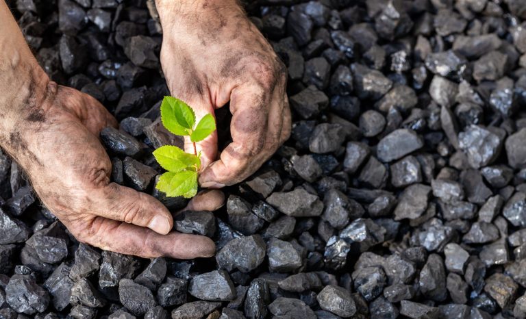Hands,Of,A,Miner,Planting,A,Green,Plant,On,A Hands,Of,A,Miner,Planting,A,Green,Plant,On,A